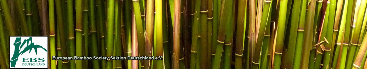 bambus-deutschland.de